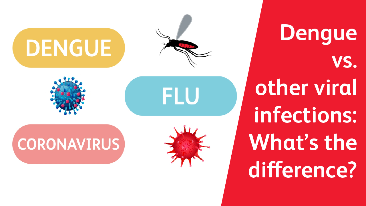 Dengue video cover image